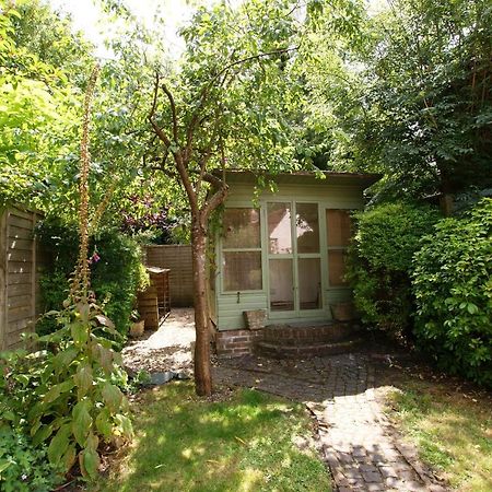 Honeysuckle Cottage- East Meon Extérieur photo